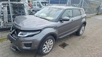 demontáž osobní automobily Land Rover Range Rover Range Rover Evoque (LVJ/LVS), SUV, 2011 / 2019 2.0 D 150 16V 5-drs. 2016