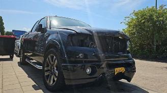 Coche siniestrado Ford USA F-150 F-150, Pick-up, 2003 / 2008 5.4 V8 4x4 2006/5