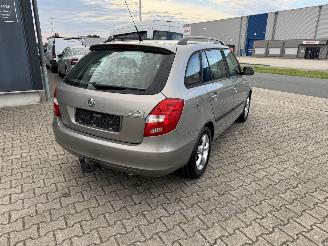 Skoda Fabia 1.2 TDI GREENLINE 55KW  KLIMA picture 5