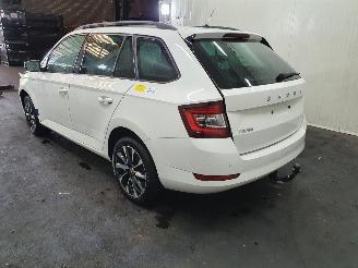 Skoda Fabia NJ 1.0TSI Business Edition picture 4