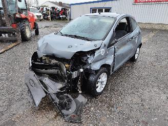 demontáž osobní automobily Ford Ka 1.2 Lago-Grijs Onderdelen 169A4000 Motor 2014/4