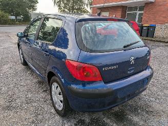 Peugeot 307 1.4 picture 7