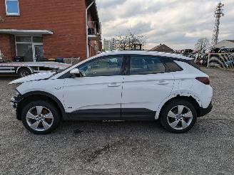 Opel Grandland Hybrid 1.6 picture 8