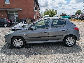 Peugeot 206+ 1.4 picture 8