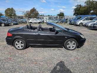 Peugeot 307 CC 2.0 picture 4