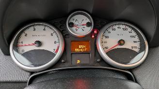 Peugeot 207 KTN picture 10