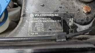 Volkswagen Polo C9Z picture 19