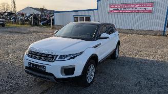 Auto da rottamare Land Rover Range Rover Evoque JLR M66 2WD 2016/6
