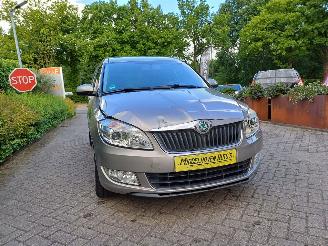 Skoda Roomster 1.2 TSI STYLE picture 15