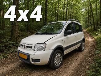 skadebil auto Fiat Panda 1.2 Climbing 4x4 2010/4