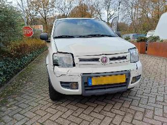 Fiat Panda 1.2 Climbing 4x4 picture 17