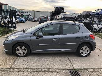 Schadeauto Peugeot 207 14i 16v 70kW 5 drs Clima 2009/7