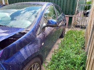 Fiat Bravo  picture 10