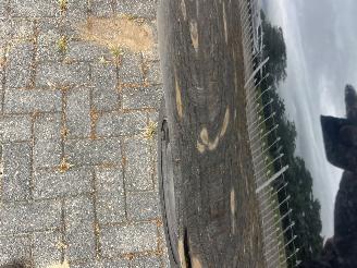 Peugeot 206+  picture 25