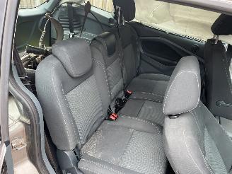 Ford Grand C-Max  picture 12