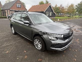 Skoda Kamiq Corporate picture 2