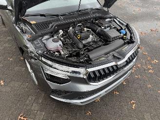 Skoda Kamiq Corporate picture 5