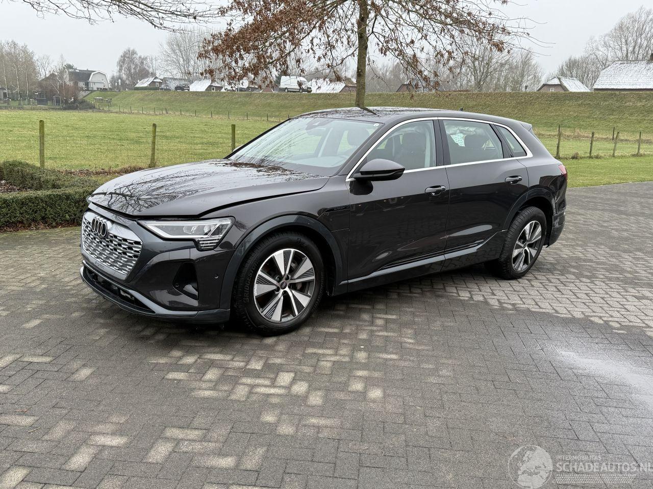 Audi Q8 E-Tron 50 Quattro