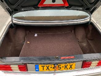 Mercedes S-klasse 420 SEL picture 12