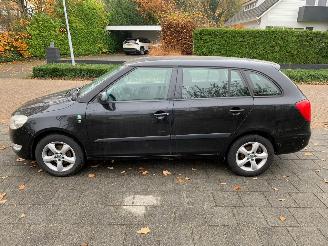 Skoda Fabia 1.2 TDI GREENLINE picture 8