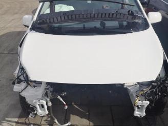 Kia Picanto Picanto (JA), Hatchback, 2017 1.0 12V picture 13