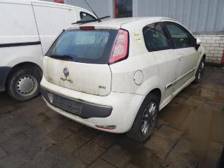 Fiat Punto Punto Evo (199), Hatchback, 2009 / 2012 1.3 JTD Multijet 85 16V Euro 5 picture 4