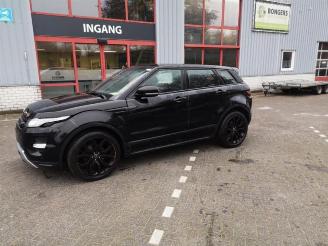 Land Rover Range Rover Evoque Range Rover Evoque (LVJ/LVS), SUV, 2011 / 2019 2.2 TD4 16V picture 6