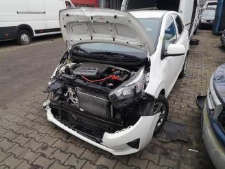 Kia Picanto Picanto (JA), Hatchback, 2017 1.0 12V picture 19
