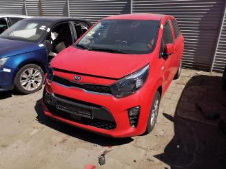 Salvage car Kia Picanto Picanto (JA), Hatchback, 2017 1.0 12V 2021