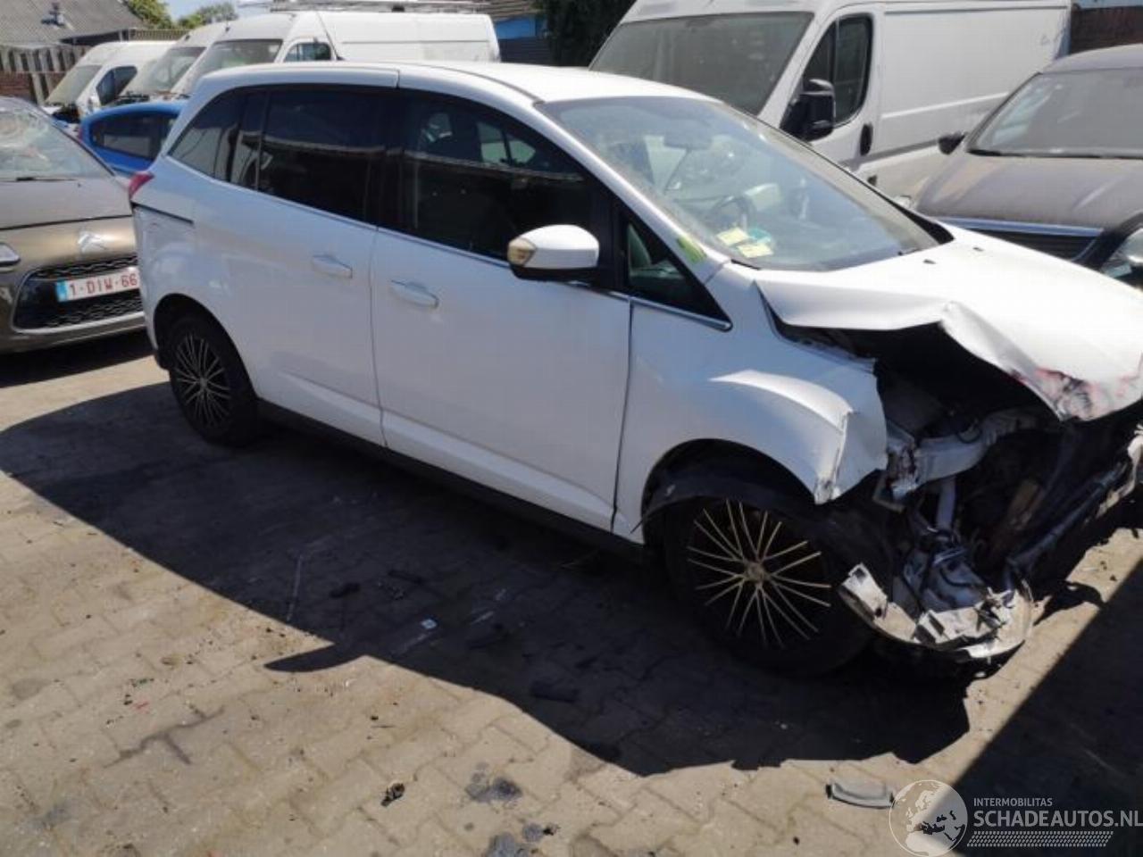 Ford Grand C-Max Grand C-Max (DXA), MPV, 2010 / 2019 1.6 EcoBoost 16V