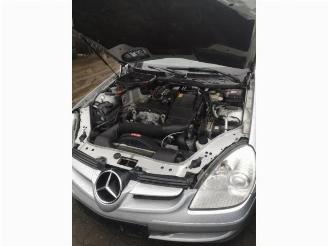 Mercedes SLK SLK (R171), Cabrio, 2004 / 2011 1.8 200 K 16V picture 13