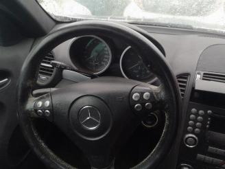 Mercedes SLK SLK (R171), Cabrio, 2004 / 2011 1.8 200 K 16V picture 9