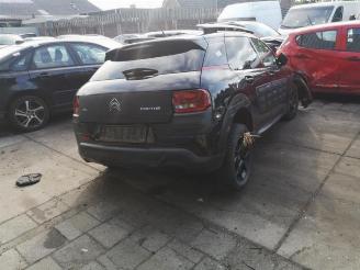 Citroën C4 cactus  picture 5