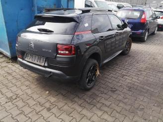 Citroën C4 cactus  picture 12