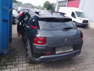 Citroën C4 cactus  picture 13