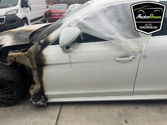 Porsche Panamera Panamera (970), Liftback, 2009 / 2016 3.0 V6 24V 4S picture 8