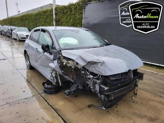 Volkswagen Golf Golf VIII (CD1), Hatchback, 2019 1.5 TSI BlueMotion 16V picture 13