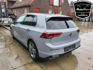 Volkswagen Golf Golf VIII (CD1), Hatchback, 2019 1.5 TSI BlueMotion 16V picture 17