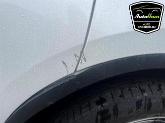 Tesla Model Y Model Y (5YJY), SUV, 2019 Long Range 72kWh picture 3