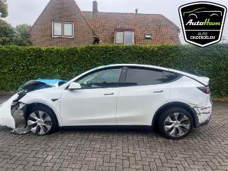 Autoverwertung Tesla Model Y Model Y (5YJY), SUV, 2019 Long Range 72kWh 2023/1