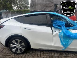 Tesla Model Y Model Y (5YJY), SUV, 2019 Long Range 72kWh picture 9