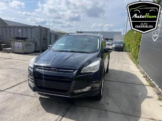 Ford Kuga Kuga II (DM2), SUV, 2012 1.6 EcoBoost 16V picture 5