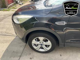 Ford Kuga Kuga II (DM2), SUV, 2012 1.6 EcoBoost 16V picture 18