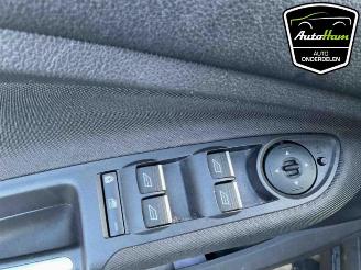 Ford C-Max C-Max (DXA), MPV, 2010 / 2019 1.0 Ti-VCT EcoBoost 12V 125 picture 19