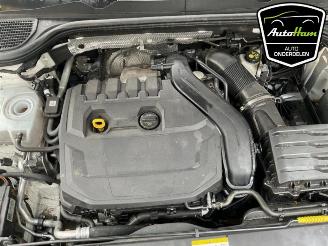 Volkswagen Golf Golf VIII (CD1), Hatchback, 2019 1.5 eTSI 16V picture 14