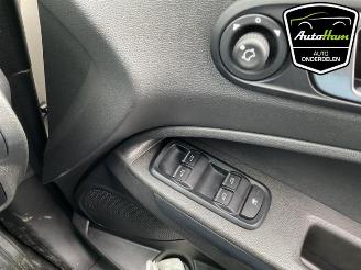 Ford EcoSport  picture 13