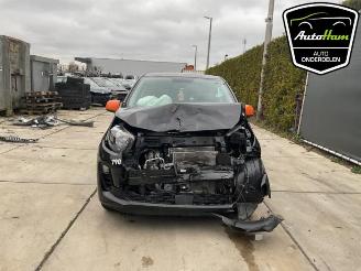 Kia Picanto Picanto (JA), Hatchback, 2017 1.0 DPi 12V picture 3