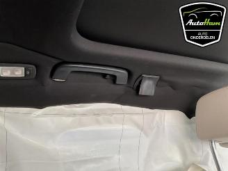 BMW 5-serie 5 serie Touring (G31), Combi, 2017 530i 2.0 TwinPower Turbo 16V Mild Hybrid picture 18