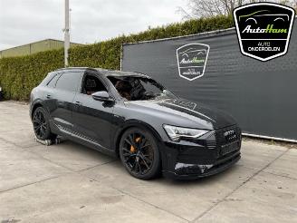 Audi E-tron E-tron (GEN), SUV, 2018 55 quattro picture 2