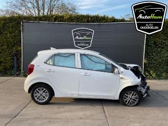 Autoverwertung Kia Picanto Picanto (JA), Hatchback, 2017 1.0 DPI 12V 2023/6
